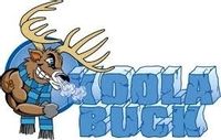 Koola Buck coupons